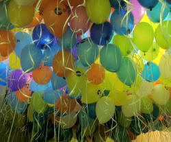 ����� �� ������ ����� ��